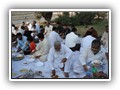DSC05164_imranghazi.com